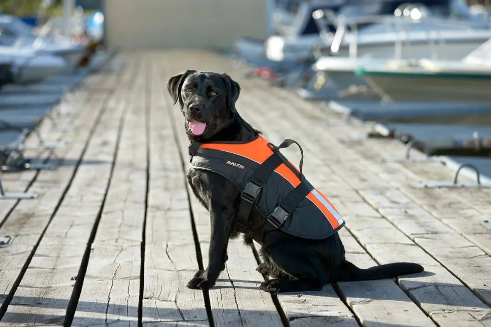 Baltic Pet Aid Mascot Uv-yellow, Black