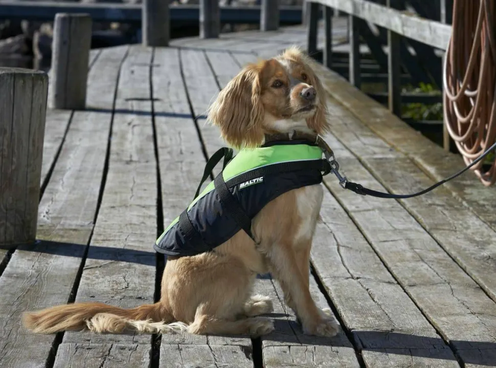 Baltic Pet Aid Mascot Uv-yellow, Black